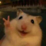 ヒメ日記 2026/04/10 15:49 投稿 高梨つむぎ 鶯谷デッドボール