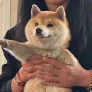 高梨つむぎ しゅー！ 鶯谷デッドボール