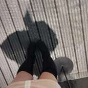 ヒメ日記 2026/02/06 13:16 投稿 ひまり 新潟市鳥屋野潟ちゃんこ