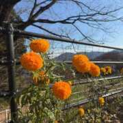 うさ 初出勤の日にち１１日に変わりました（ ;  ; ） ラブリップ所沢