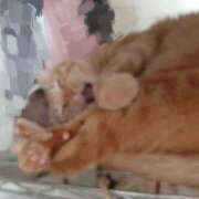 中井 出勤してます🎵 熟女待機所 厚木店