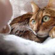 中井 2人とも花粉症🎄🌁😷 熟女待機所 厚木店