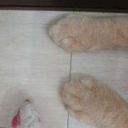 中井 ありがとうございます 熟女待機所 厚木店