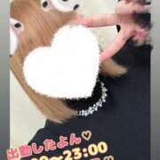 ヒメ日記 2026/01/11 13:10 投稿 まひな 谷町人妻熟女奉仕倶楽部