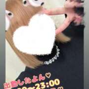 まひな 出勤しましたっ♡ 谷町豊満奉仕倶楽部