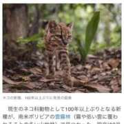ヒメ日記 2026/09/20 12:04 投稿 まひな 谷町豊満奉仕倶楽部