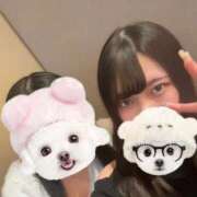 ヒメ日記 2026/02/06 03:38 投稿 三嶋ゆま ウルトラロイヤル