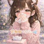 ヒメ日記 2026/03/02 12:00 投稿 渡会　あゆり 30・40・50代☆人妻熟女コレクション