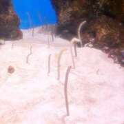 ヒメ日記 2026/04/05 22:30 投稿 渡会　あゆり 30・40・50代☆人妻熟女コレクション