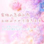 ヒメ日記 2026/04/09 09:53 投稿 渡会　あゆり 30・40・50代☆人妻熟女コレクション