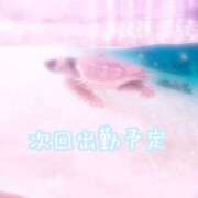 ヒメ日記 2026/04/21 13:04 投稿 渡会　あゆり 30・40・50代☆人妻熟女コレクション