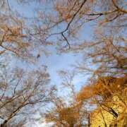 ヒメ日記 2026/01/08 16:01 投稿 凛（リン） アバンチュール(五反田)