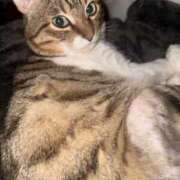 ヒメ日記 2026/02/28 11:57 投稿 【人妻】れい a．bitch α