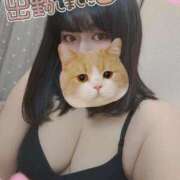 ヒメ日記 2026/01/13 12:16 投稿 【新人】こはる 神奈川小田原ちゃんこ