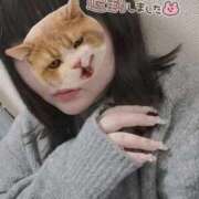 ヒメ日記 2026/01/20 02:16 投稿 【新人】こはる 神奈川小田原ちゃんこ