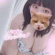 ヒメ日記 2026/02/01 19:43 投稿 【新人】こはる 神奈川小田原ちゃんこ