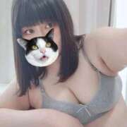 ヒメ日記 2026/02/16 23:16 投稿 【新人】こはる 神奈川小田原ちゃんこ