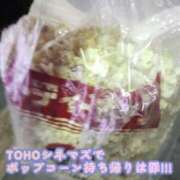 ヒメ日記 2026/03/02 07:46 投稿 【新人】こはる 神奈川小田原ちゃんこ