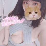 ヒメ日記 2026/03/03 17:32 投稿 【新人】こはる 神奈川小田原ちゃんこ