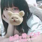 ヒメ日記 2026/03/17 00:16 投稿 【新人】こはる 神奈川小田原ちゃんこ