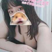 ヒメ日記 2026/03/22 16:16 投稿 【新人】こはる 神奈川小田原ちゃんこ