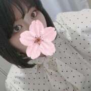 ヒメ日記 2026/04/13 21:06 投稿 【新人】こはる 神奈川小田原ちゃんこ