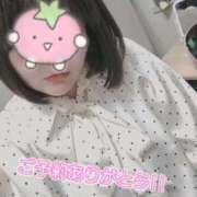 ヒメ日記 2026/04/13 21:46 投稿 【新人】こはる 神奈川小田原ちゃんこ