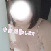 ヒメ日記 2026/05/27 08:46 投稿 【新人】こはる 神奈川小田原ちゃんこ