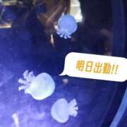 ヒメ日記 2026/06/17 07:56 投稿 【新人】こはる 神奈川小田原ちゃんこ