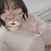 ヒメ日記 2026/07/29 11:46 投稿 【新人】こはる 神奈川小田原ちゃんこ