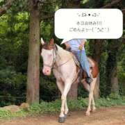 ヒメ日記 2026/09/15 13:26 投稿 【新人】こはる 神奈川小田原ちゃんこ
