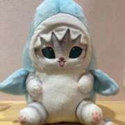 ヒメ日記 2026/02/22 15:35 投稿 まい(奥様) 姫マーケット