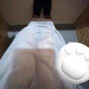 ヒメ日記 2026/03/25 20:40 投稿 まい(奥様) 姫マーケット