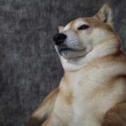 ヒメ日記 2026/04/10 23:28 投稿 おとは 白いぽっちゃりさん仙台店