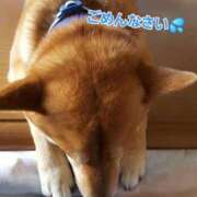 おとは 本日の出勤について🙇🏻‍♀️ 白いぽっちゃりさん仙台店