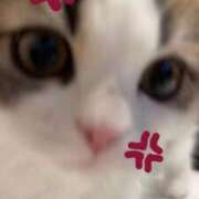 ヒメ日記 2026/02/20 08:29 投稿 かりん 石川小松ちゃんこ