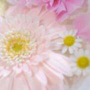 綾瀬さき【OL委員会】 変更 柏OL委員会