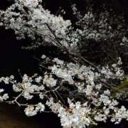 ヒメ日記 2026/03/29 20:57 投稿 なつき セレブクエスト-Nishikawa-