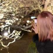 ヒメ日記 2026/02/14 20:28 投稿 こはく リアル 日本橋店