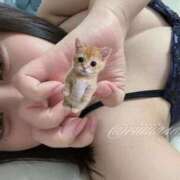 ヒメ日記 2026/02/19 18:08 投稿 こはく リアル 日本橋店