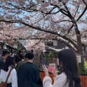 ヒメ日記 2026/02/20 17:49 投稿 こはく リアル 日本橋店