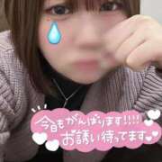 ヒメ日記 2026/03/13 18:18 投稿 こはく リアル 日本橋店