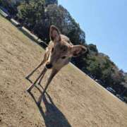 ヒメ日記 2026/02/23 19:23 投稿 ゆづは若奥 未熟な若奥