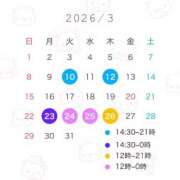 ヒメ日記 2026/03/10 16:01 投稿 ナノ ピカソ