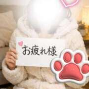 ヒメ日記 2026/01/23 15:01 投稿 水戸あずさ 華椿