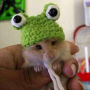 ヒメ日記 2026/03/01 06:00 投稿 けろ☆ティナ にゃんだ☆full☆MIX（にゃんだふるみっくす）