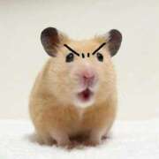 ヒメ日記 2026/03/04 23:28 投稿 けろ☆ティナ にゃんだ☆full☆MIX（にゃんだふるみっくす）