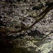 ヒメ日記 2026/04/06 01:31 投稿 つばさ 素人系イメージSOAP彼女感大宮館