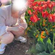 ヒメ日記 2026/04/12 19:30 投稿 つばさ 素人系イメージSOAP彼女感大宮館