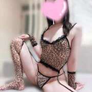 ヒメ日記 2026/01/25 18:16 投稿 桜庭 るりこ☆最高級のランク Hills Premier